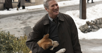 Hachi